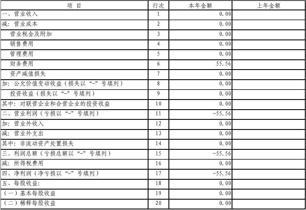 最新财务报表，揭示企业经济实力的核心数据概览