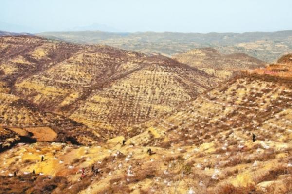 愚公移山新解，数字时代的挑战与机遇探索及破解版反思