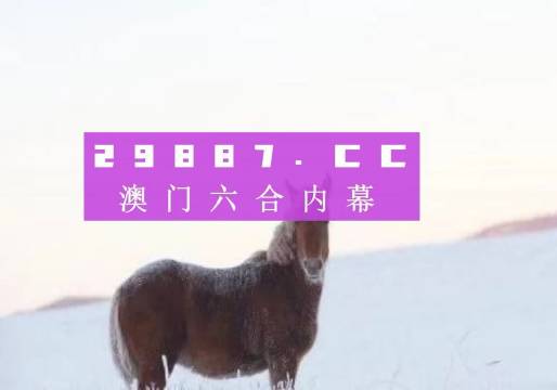 澳门最准一肖一码一码孑,全面数据策略实施_4K52.484