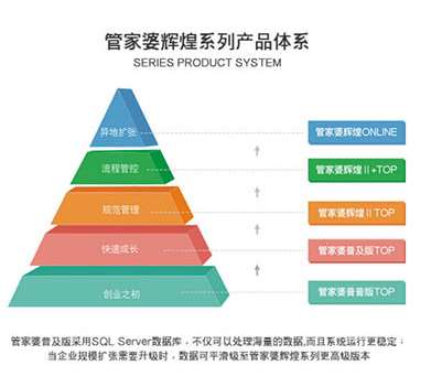 管家婆最准内部资料大会,数据支持策略分析_FT78.578