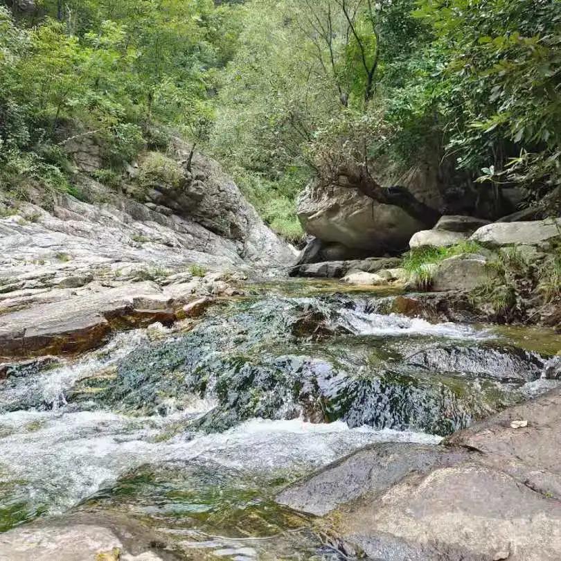 西峡县市场监督管理局新项目推动市场监管现代化，促进县域经济飞跃发展