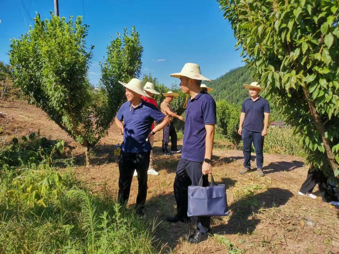 四方溪乡新项目启动，乡村振兴新引擎