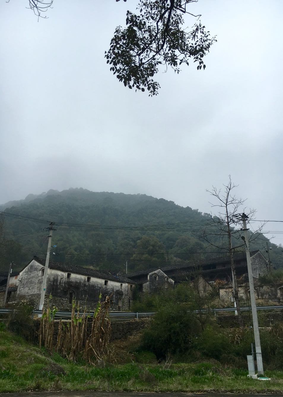 铁涌镇天气预报更新通知