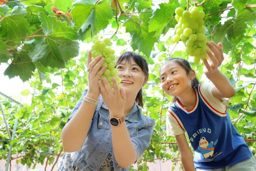 智号村委会最新新闻动态报道