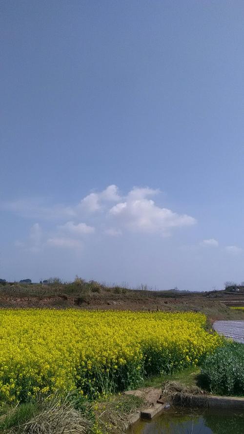 荆家镇天气预报更新通知