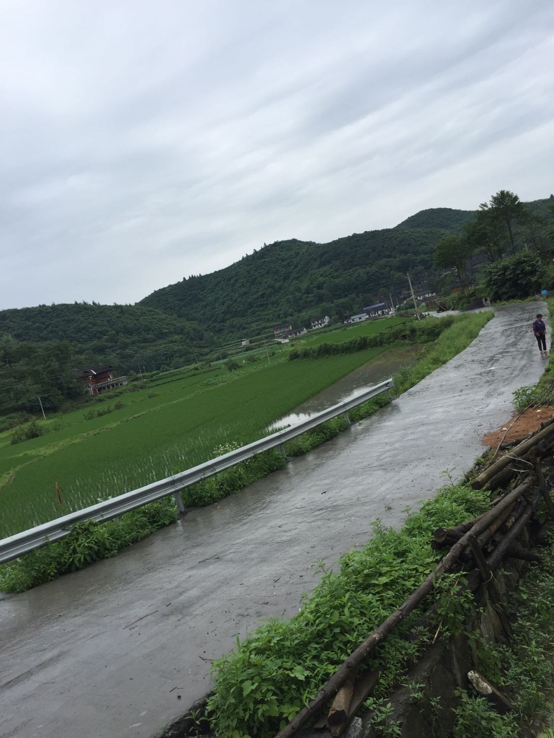 三岔沟村民委员会天气预报更新通知