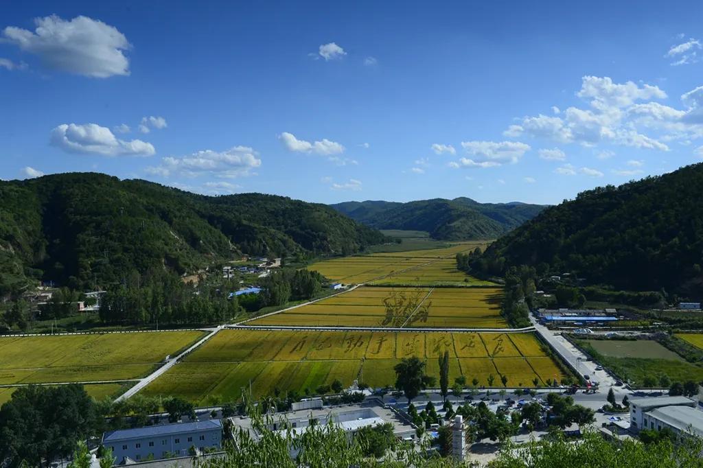 康坪乡未来蓝图，最新发展规划揭秘