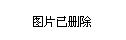 2025年2月11日 第9页