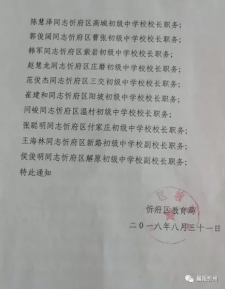 南市区教育局人事任命重塑教育版图，引领未来教育之路