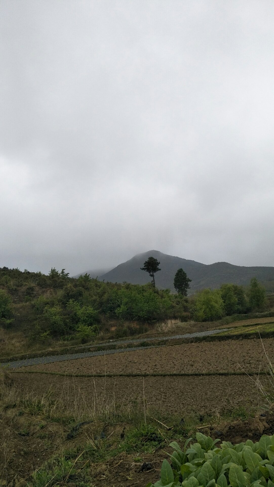 古地村天气预报更新通知