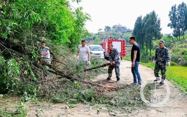 忠县应急管理局启动新项目，构建现代化应急救援体系