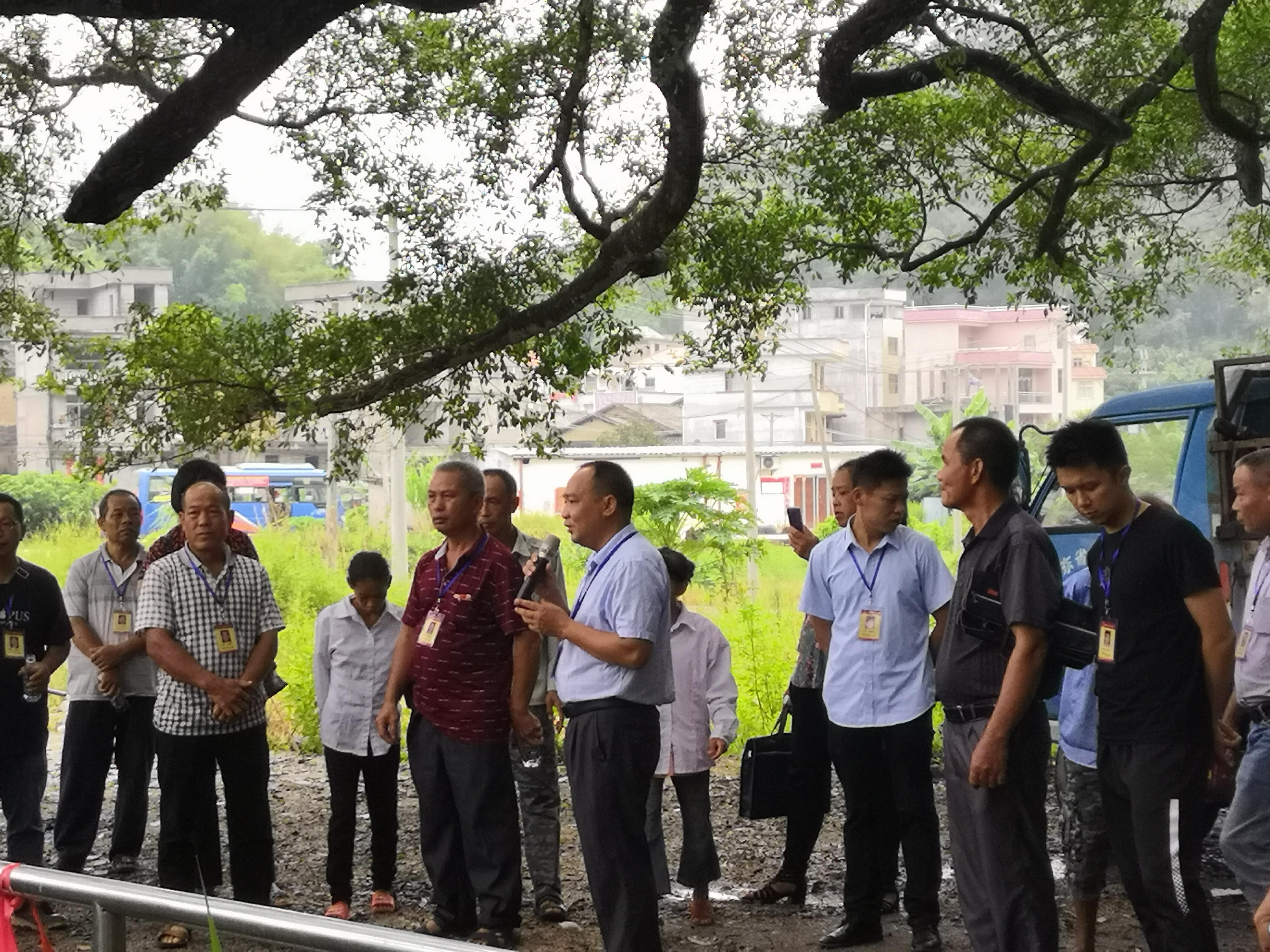 桂圩镇最新发展动态，捕捉发展与变革的脉搏