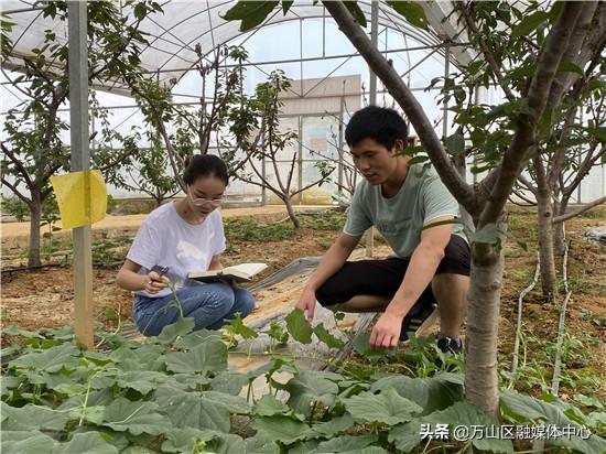 茅坪乡新项目启动，乡村振兴新引擎